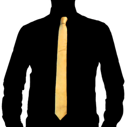 The Man With The Golden Tie schaduw v8